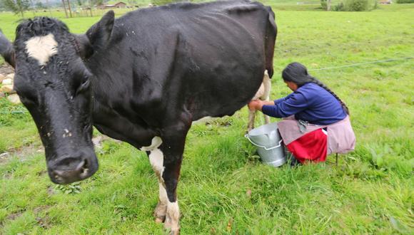 La producción nacional de leche fresca en nuestro país es de aproximadamente 6 millones de litros por día. (Foto: Difusión)