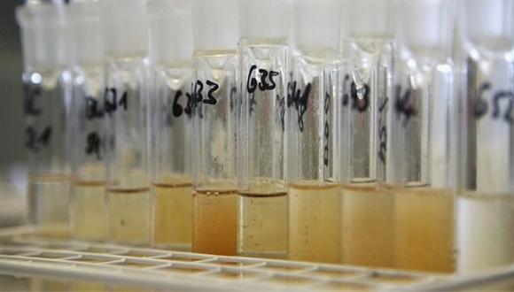 Brasil 2014: Falta de laboratorio antidopaje no afectará controles. (Internet)