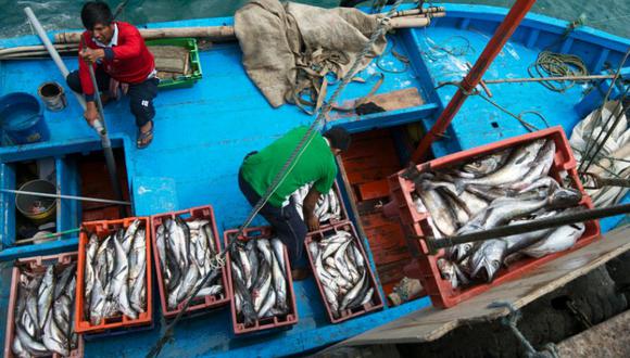Gremio pesquero también consideró importante que se refuerce la lucha contra la corrupción. (Foto: AFP)