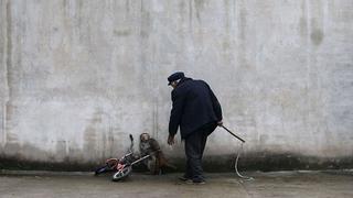 China: Polémica por imágenes de un mono maltratado por su adiestrador