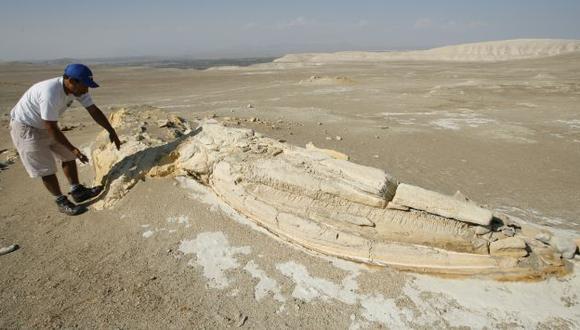 Malogrados. Yacimientos paleontológicos sufieron daños irreparables en Ocucaje. (César Fajardo)