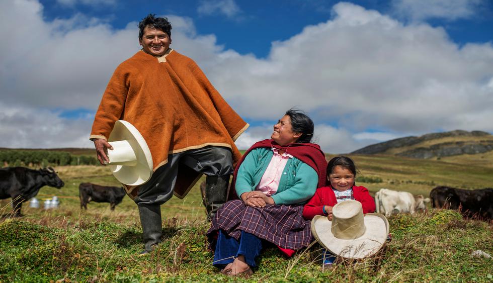 En la actualidad, Cajamarca representa el 8% de la producción nacional de leche donde un gran número de mujeres se han convertido en pieza fundamental de la industria ganadera. (Foto: Difusión)&nbsp;