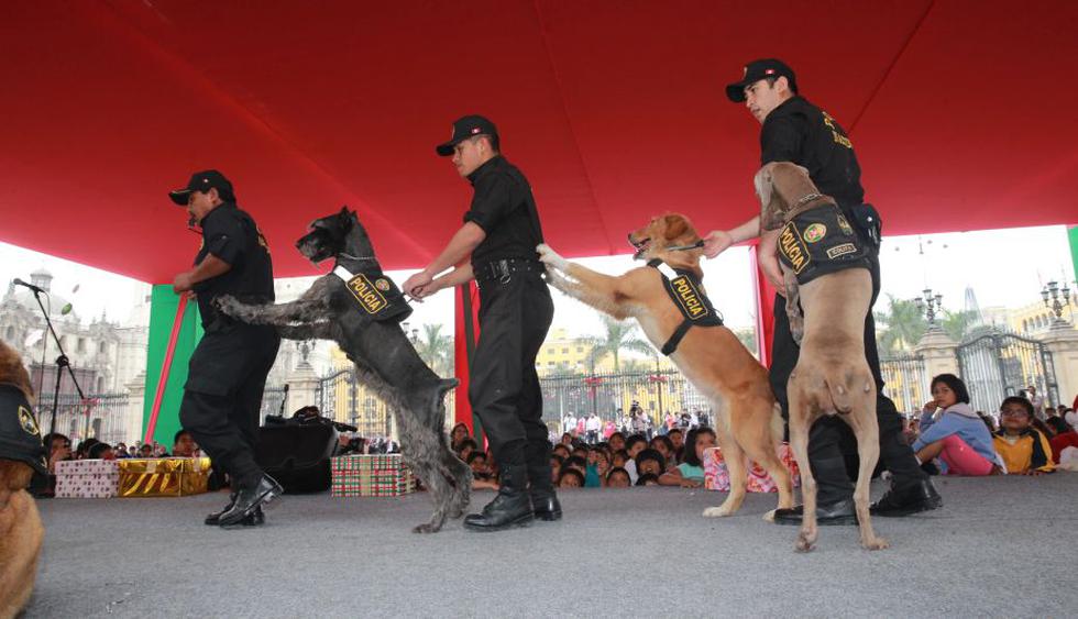Policía canina presentó show especial por Navidad en Palacio de Gobierno. (Flickr Presidencia Perú)