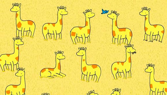 ¿Logras encontrar a la jirafa que tiene un patrón único? Tienes el tiempo limitado.