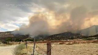 Fuegos artificiales en fiesta desatan incendio forestal en California
