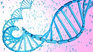 Conoce esta nueva técnica que permite identificar enfermedades genéticas en embriones