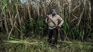 Colombia: Gobierno entregará 680.000 hectáreas de tierra a campesinos, afros e indígenas