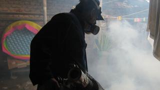 Ucayali: Intensificarán fumigación para combatir el dengue