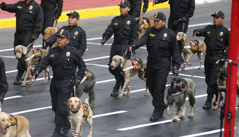Parada Militar: Policía Canina se llevó los aplausos del público con esta presentación. (Anthony Niño de Guzmán)