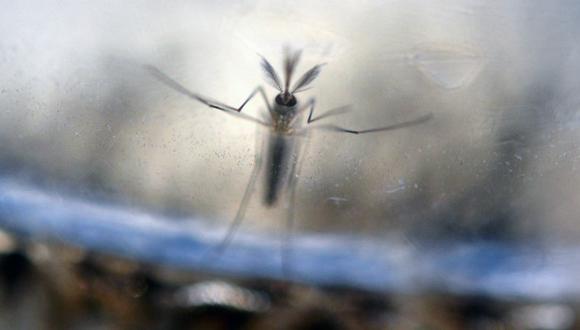 Zika: Presidente Barack Obama solicita US$ 1.8 millones para combatir el virus. (AFP)