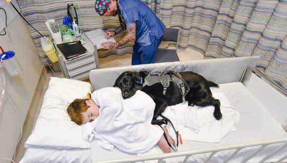 Mahe, el perro que nunca deja a su dueño autista, ni en la cama del hospital. (Louise Goossends)