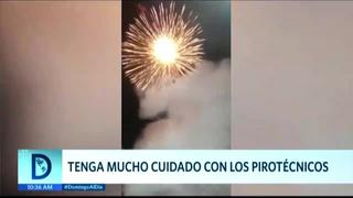 Municipalidad de Chaclacayo prohíbe el uso de pirotécnicos en fiestas de fin de año: “Los animales corren y mueren atropellados”