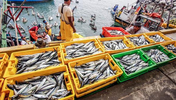 Producción pesquera acumula resultado negativo.