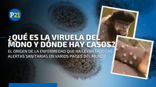 Viruela del mono: lo que se sabe hasta el momento de esta extraña enfermedad