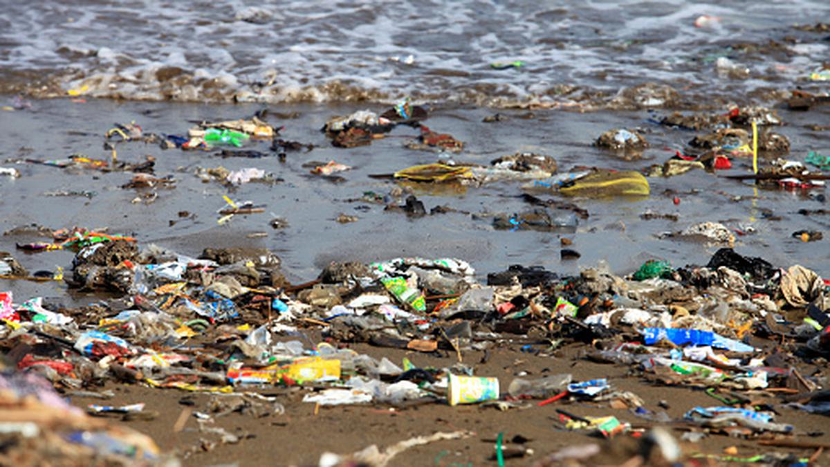 Sigue estos 5 consejos para mantener las playas saludables y libres de  contaminación | PERU | PERU21