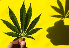 Día de la marihuana: ¿Cómo surgió el ‘420′ y qué países han aprobado su uso?