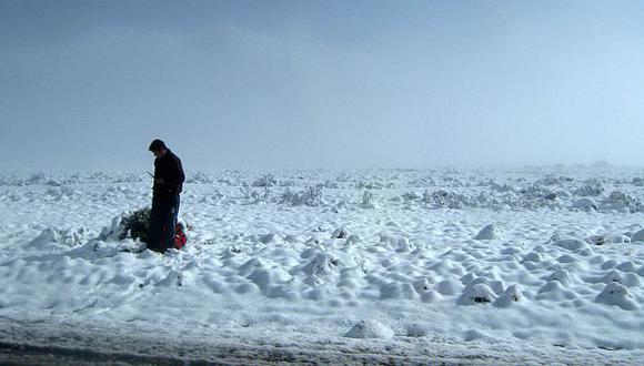 Las nevadas han afectado las carreteras Arequipa-Puno. (Difusión)