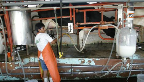 Reglamento establecerá los requisitos que deberán cumplir los alimentos de origen bovino destinados al consumo humano.