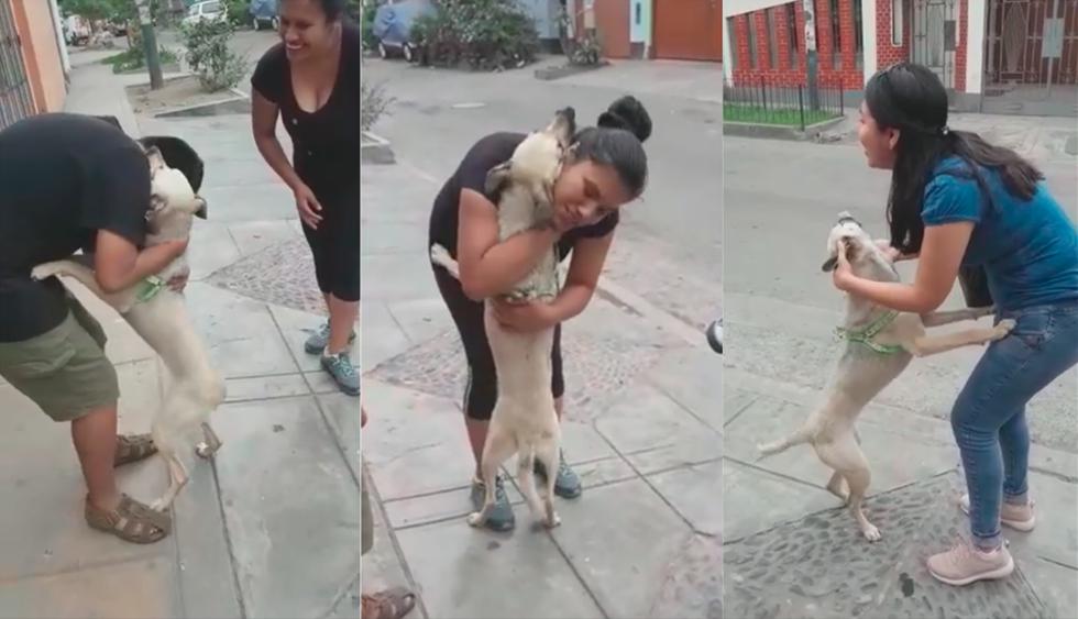 El emocionante reencuentro de una familia con su perra que estuvo perdida por 10 días. (Flavia Del Mar / Facebook)&nbsp;<br>
