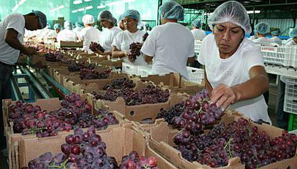 La uva peruana es favorita en el mercado asiático. (USI)
