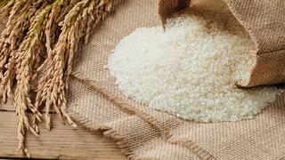 Minsa elabora fórmula de arroz que ayudará a reducir la anemia en el Perú