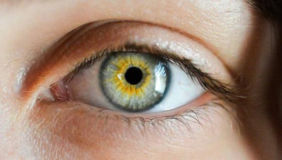 La retina puede mostrar su evolución en el caso de pacientes con alzheimer. (Foto: ofie Zbořilová/Pixabay)
