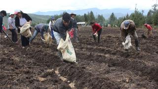 EsSalud: Decreto de urgencia sobre aportes agrarios corrige una distorsión de más de 10 años 