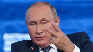 Vladimir Putin asegura que los cereales ucranianos van a la Unión Europea y no a países pobres