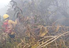 Incendios forestales arrasaron 3,600 hectáreas de cultivo en Cusco