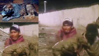 Tacna: Escombros de huaico sepultan a perrito y bomberos lo salvan de morir [VIDEO Y FOTOS]