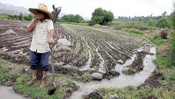 Agricultores perderían casi 10 millones de soles por escasez hídrica. (Miguel Idme)