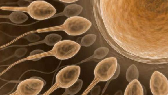 Al no madurar los espermatozoides, no podrían fecundar un óvulo. (The Inquisitr)