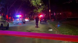 Dos muertos y 14 heridos en tiroteo en una fiesta en Estados Unidos