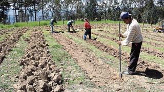 Alejandro Salas: Gobierno ha creado una comisión de alto nivel para gestionar la compra de fertilizantes