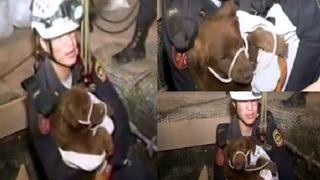 Perro que cayó a un pozo de 15 metros fue rescatado por la Policía [VIDEO]