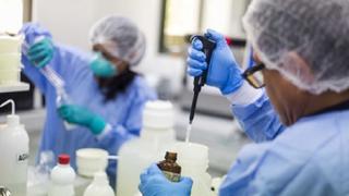 “Huánuco será la primera región en iniciar el proceso de vacunación”, afirmó Neyra