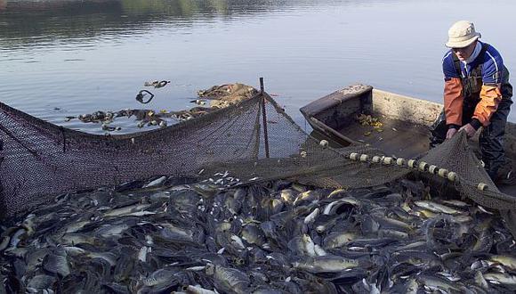 Las actividades pesqueras podrían beneficiarse con el fenómeno de La Niña. (USI)