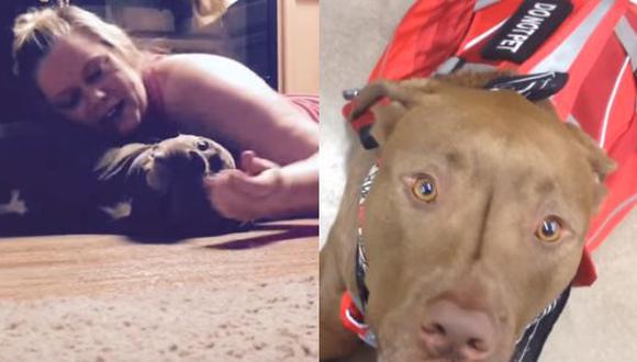 YouTube: Conoce a 'Colt' el perro que protege a su dueña de las convulsiones epilépticas (YouTube/Service Dog Colt)