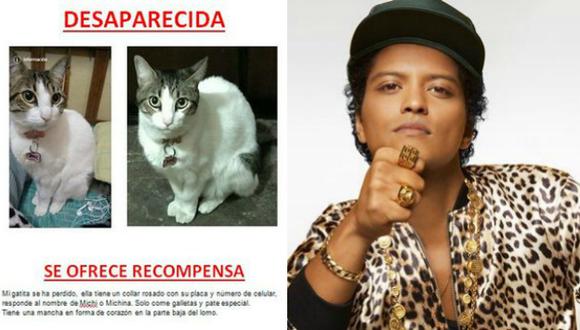 Bruno Mars: Se ofrece entrada a concierto como recompensa por hallar a una gata (Composición)