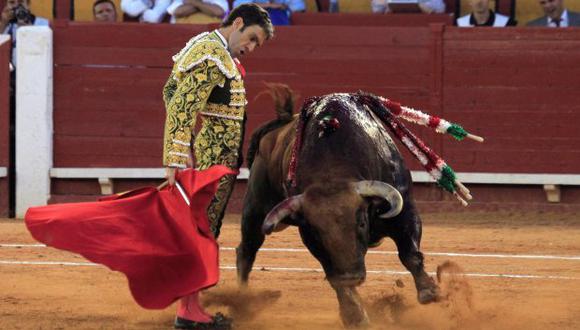 Pablo Iglesias defendió la idea de no subvencionar los toros con dinero publico. (Foto: EFE)