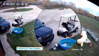 Canadá: Perro que conducía carrito de golf se estrella con el auto de su dueño y huye para evitar castigo