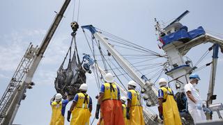 Produce prohíbe pesca industrial de merluza por una semana