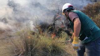 Arequipa: Gran incendio forestal se registró en faldas del volcán Misti