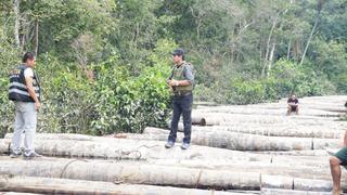 Osinfor: fortalecen lucha contra la tala ilegal de madera en Ucayali