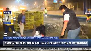 Camión que transportaba gallinas se volcó en El Agustino y transeúntes aprovechan para llevarse las aves