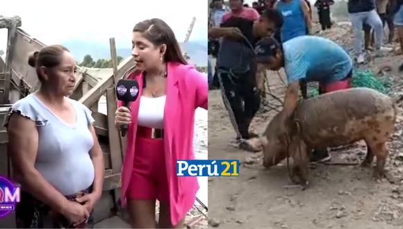 Personas que se organizaron para rescatar a un chancho que quedó varado en las orillas del río Chillón no eran los dueños. (Foto: América TV / RPP)