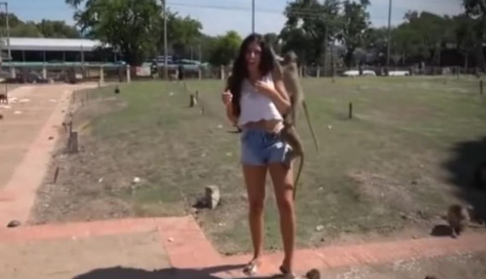 En Facebook fue visto el video en el que una modelo recibe jalones en su cabello y ropa por unos monos cangrejos en Tailandia. El clip se hizo viral entre los usuarios. (Foto: Captura)