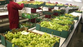 Agroexportaciones suman US$ 5,042 millones a setiembre, según Minagri