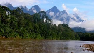Lima Expresa neutralizó toneladas de carbono contribuyendo a la conservación del Parque Nacional Cordillera Azul
