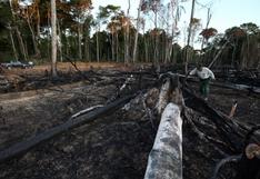Reportan nuevos caminos de deforestación en Amazonía peruana
